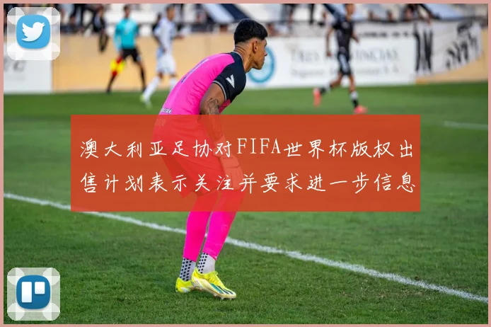 澳大利亚足协对FIFA世界杯版权出售计划表示关注并要求进一步信息